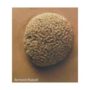Problems of Philosophy | Bertrand Russell (2001)
