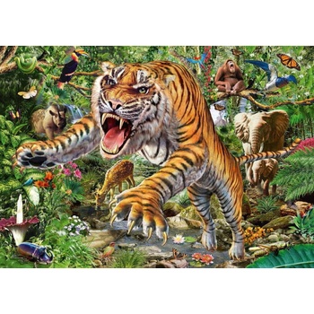 Schmidt Tiger attack 500 dielov