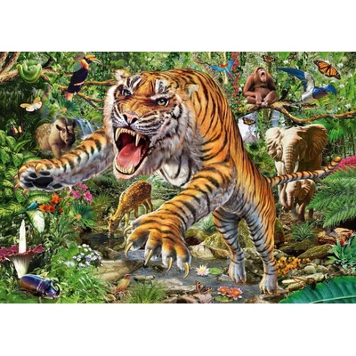 Schmidt Tiger attack 500 dielov
