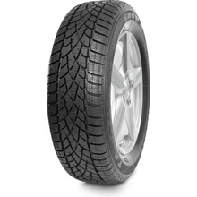 Targum Snow 2 205/55 R16 91H