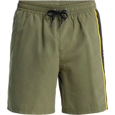 Quiksilver Мъжки бански слипове Quiksilver Everyday Clicker Volley 17'' Swim brief - Grape Leaf (050-2558-0314)