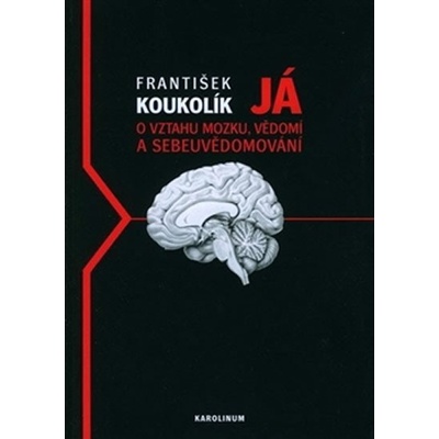 Já. O mozku, vědomí a sebeuvědomování