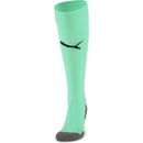 Puma Team LIGA socks CORE