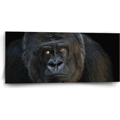Sablio Obraz Gorila - 110x50 cm