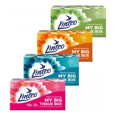 LINTEO kapesníky BOX bílé 2-vrstvé 200 ks