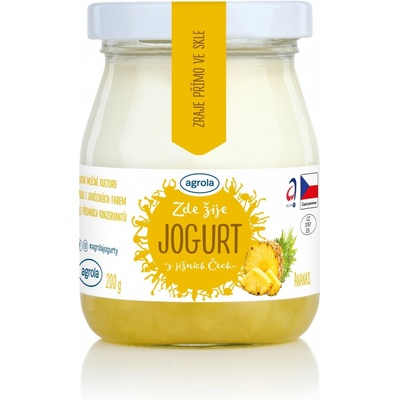 Agrola Jogurt Ananas 200 g – Hledejceny.cz