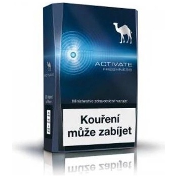 Camel Activate