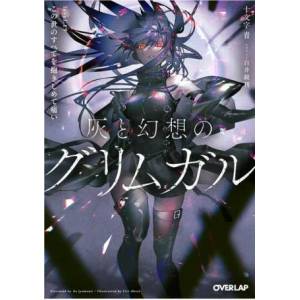 Grimgar of Fantasy and Ash (Light Novel) Vol. 19 (ISBN: 9781638586456)