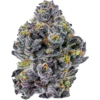 Growers Choice Sticky Wasabi Triploid F1 semena neobsahují THC 5 ks