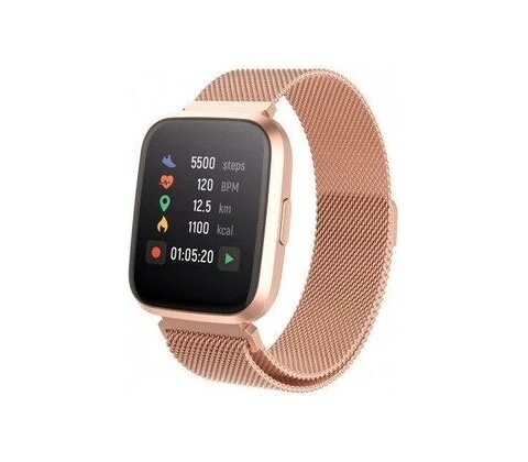 Forever FIT SB-310