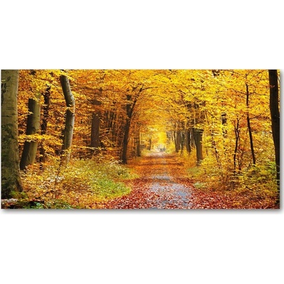 Fotoobraz na skle jesenné les 100x50 cm