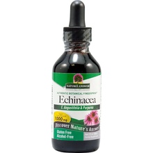 Nature's Answer Echinacea bylinné kvapky 30 ml