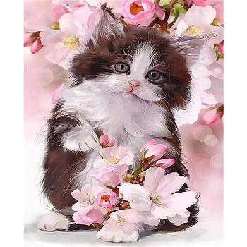 Norimpex - Puzzle Diamant painting: Black and white kitten 30x40cm - 1 - 39 piese