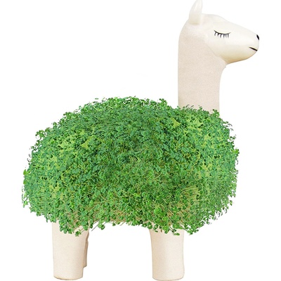Gift republic Květináč - Lama