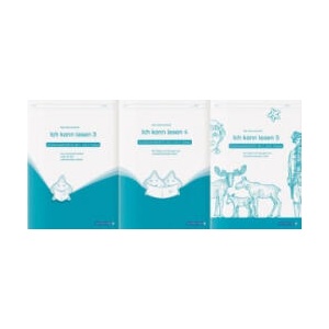 Ich kann lesen 3, 4 und 5 - 3 Schülerarbeitshefte für die 2. bis 4. Klasse (ISBN: 9783946904618)