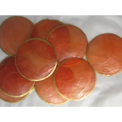 Dijk Natural Collection Mušle Capiz shell korálová gold 10 ks – Zboží Mobilmania