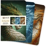 Flame Tree Publishing Dragons by Kerem Beyit Set of 3 Mini Notebooks | Flame Tree Publishing