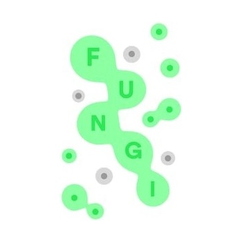 Fungi