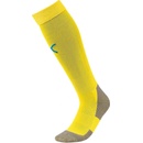 Puma Team LIGA socks CORE