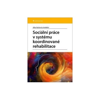 Sociální práce v systému koordinované rehabilitace u klientů po získaném poškození mozku