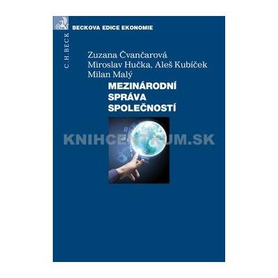 Mezinárodní správa společnosti