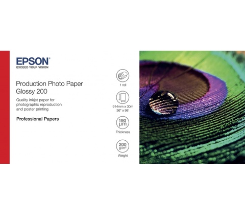 Epson C13S450372