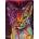 Heye - Puzzle Abyssinian cat 2000 - 2 000 piese