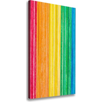 Vertikálny foto obraz na plátne Farebné pásky 50x100 cm