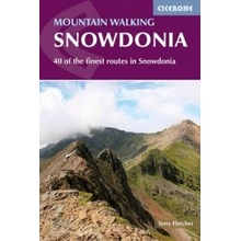 Mountain Walking in Snowdonia - Fletcher Terry