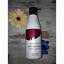 Mon Platin Total Repair ozdravujúci šampón na suché a farbené vlasy 500 ml