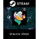 Gravity Ghost