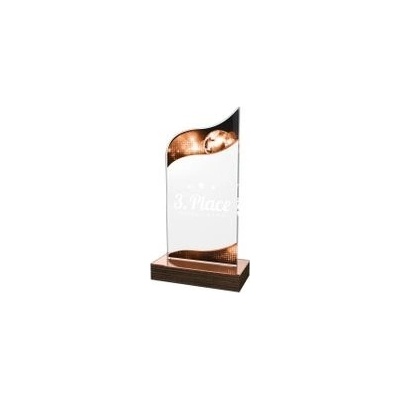 Poháry Bauer Akrylátová trofej WPLA572 Hudba
