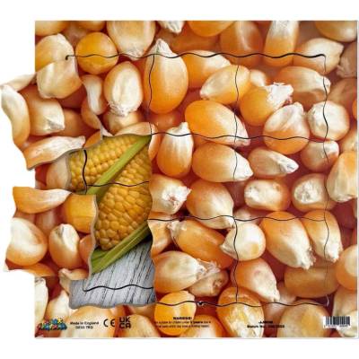 Just Jigsaws kukurica a jej vegetatívne rastové fázy drevené vrstvené puzzle 19 dielov