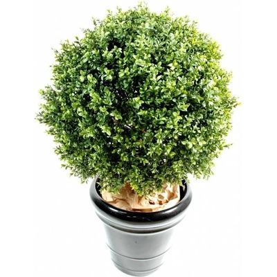 Zimostráz - Buxus koule New, 45cm