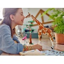 Image 1 of LEGO® Creator 3-in-1 - Wild Safari Animals (31150)