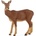 Papo Фигурка Papo Wild Animal Kingdom - Сърна (53014)