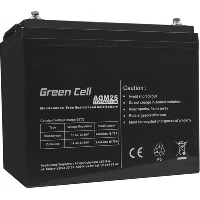 Green Cell 12V 75Ah AGM25