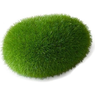 Europet Bernina Aqua Della Moss Ball small 6x4,5x3,5 cm