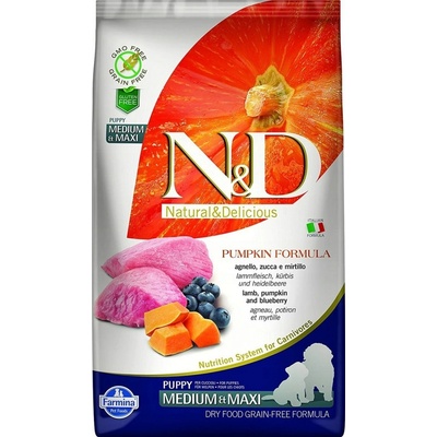 N&D Pumpkin Puppy Medium / Maxi Lamb & Blueberry 2,5 kg