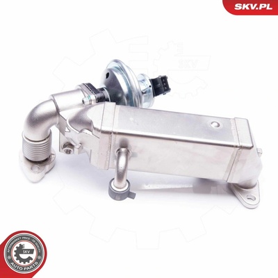 AGR-Ventil ESEN SKV 14SKV136