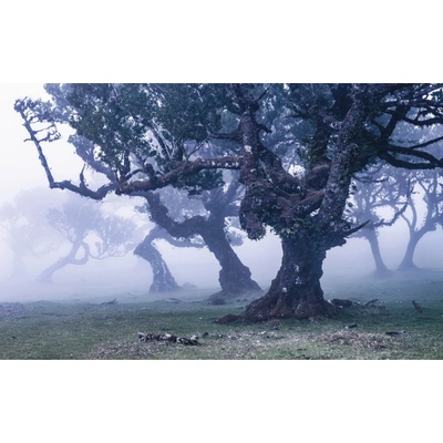 Komar Vliesová fototapeta Ghost Line rozměry 400 x 250 cm