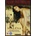 Malena DVD