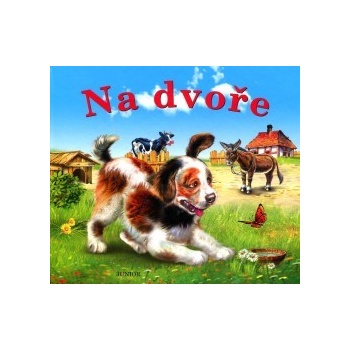 Na dvoře