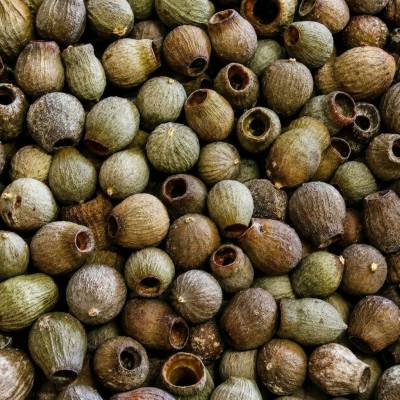 BELLGUMS LOOSE NATURAL ( 25 kg )