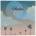 Exacompta Фотоалбум, 22, 5x22 см, 50 страници, EXACOMPTA "Sunset" 62332E (62332E)