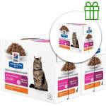 Hill's Prescription Diet GI Biome грижа за храносмилането пауч за котки 12 x 85 g, 2+1 безплатно