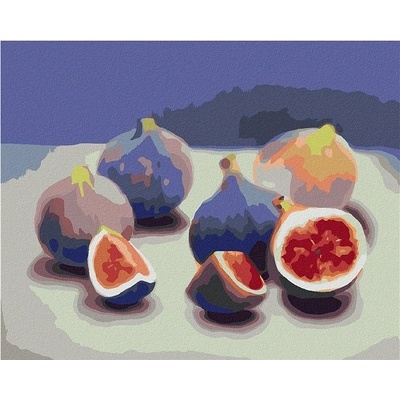 zuty Malování Podle Čísel Fík 2 Myroslava Voloschuk 40 x 50 Cm Plátno Rám