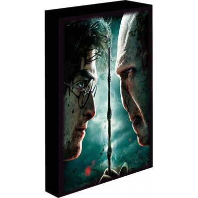 Obraz LED svietiace 30x40, Harry potter - Harry vs. Voldemort