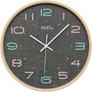 AMS 5513