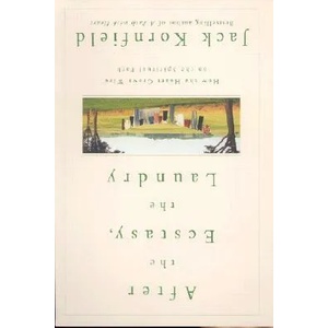After the Ecstasy, the Laundry (ISBN: 9780553378290)